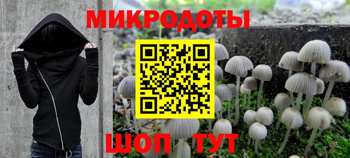 Псилоцибиновые грибы MAGIC MUSHROOMS  Галлюциногенные грибы Cubensis  Минусинск  Вход с VPN 