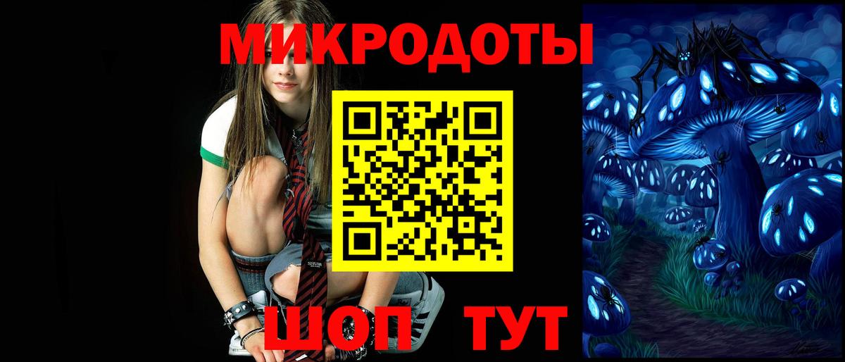 Псилоцибиновые грибы Cubensis Минусинск